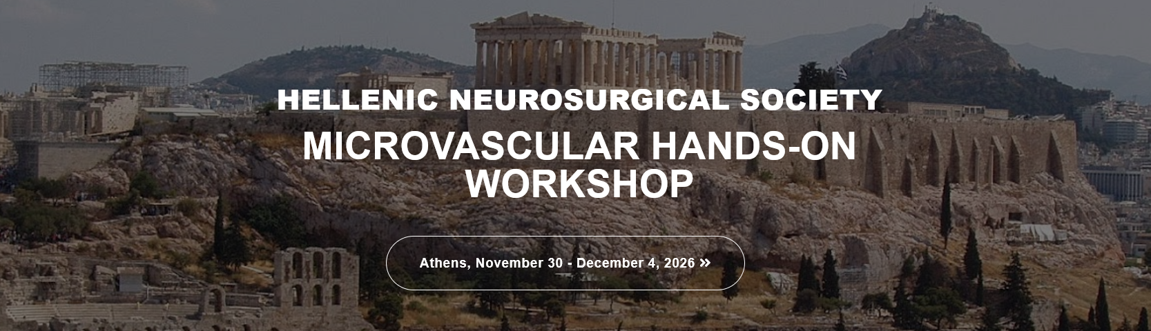 Microvascular workshop , Athens 2026